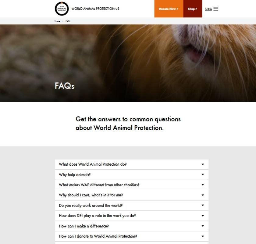 The Best Examples Of Effective Frequently Asked Questions Template Page 2026